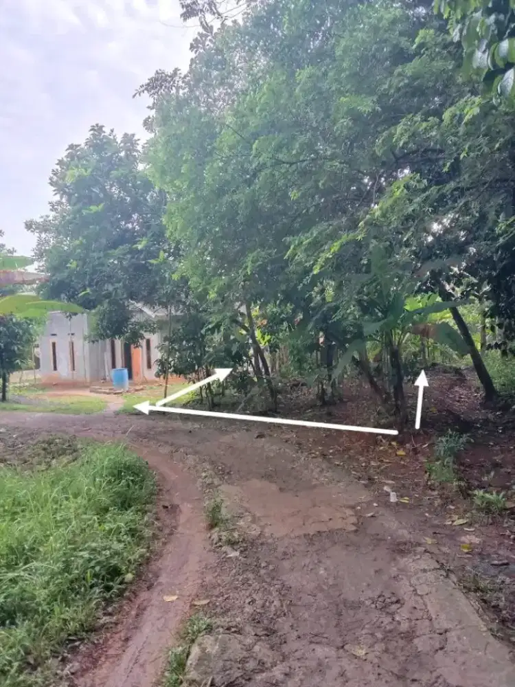 Jual tanah milik pribadi letak di belakang Natura Serpong City