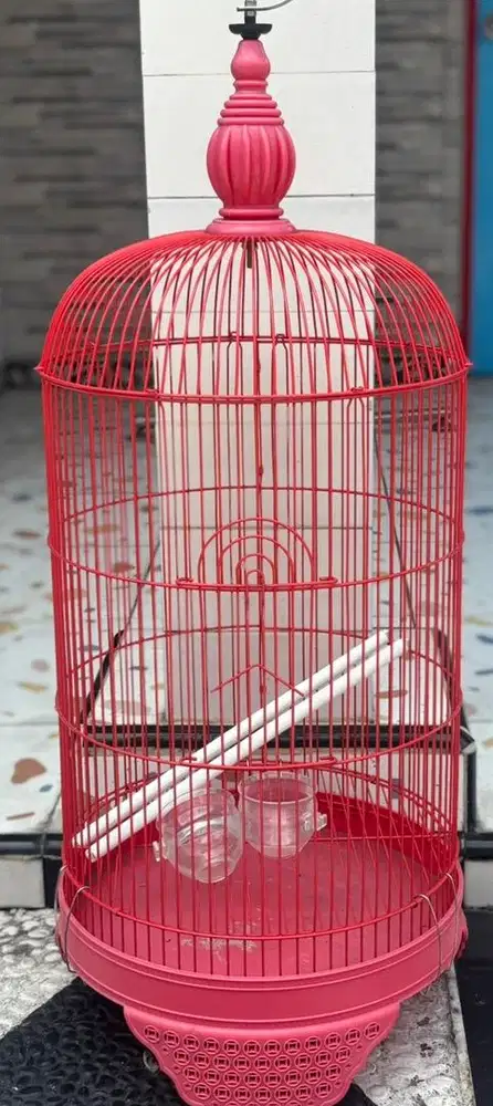 DI JUAL CEPAT ! KANDANG BURUNG BURCIL MEREK QC PANDA ! MURMER