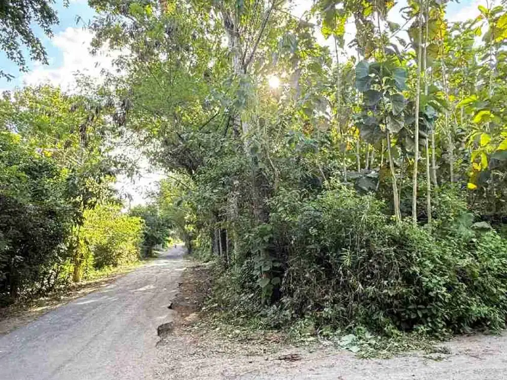 DIJUAL TANAH STRATEGIS HOOK
Jl Utama Gunung Payung