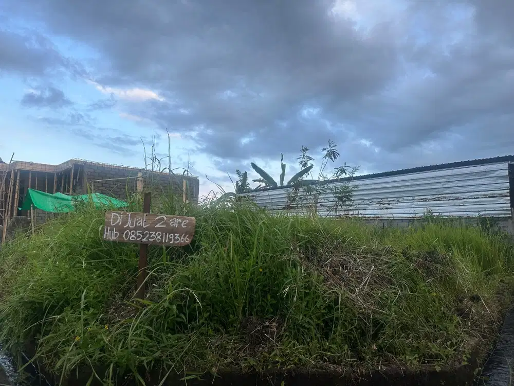 BUC JUAL TANAH 200 GIANYAR