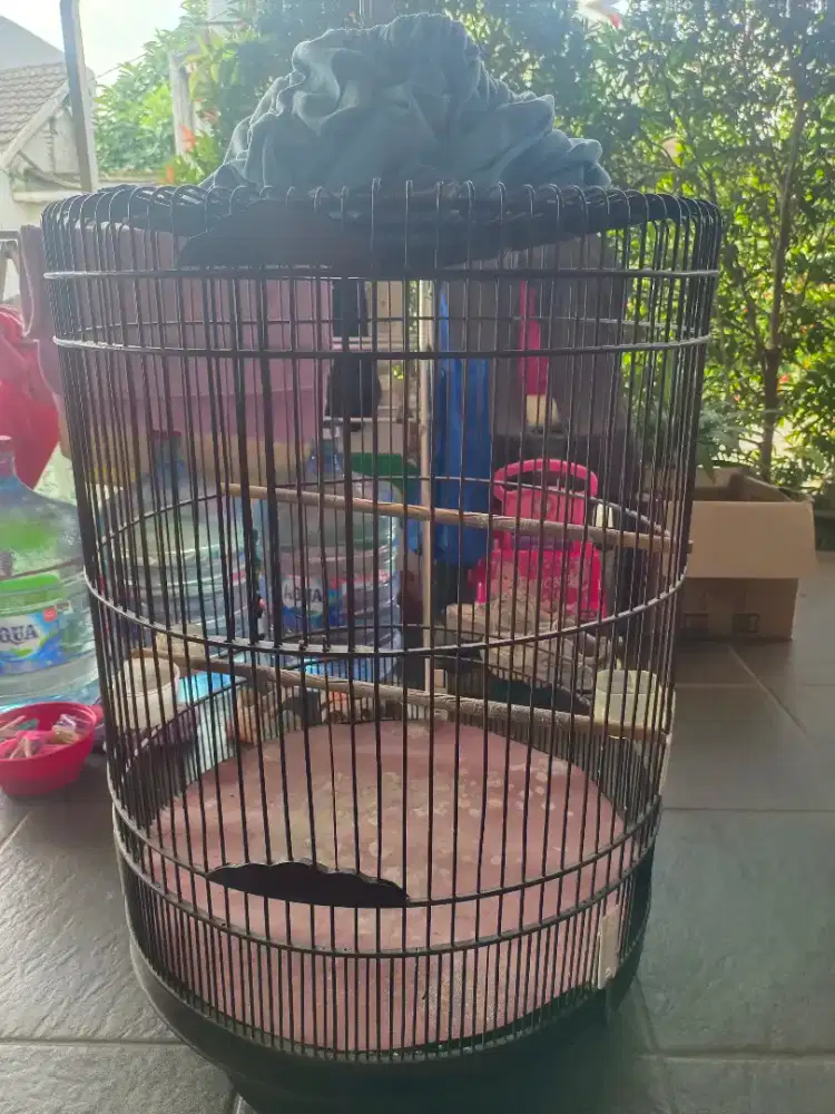 Kandang Murai Murah