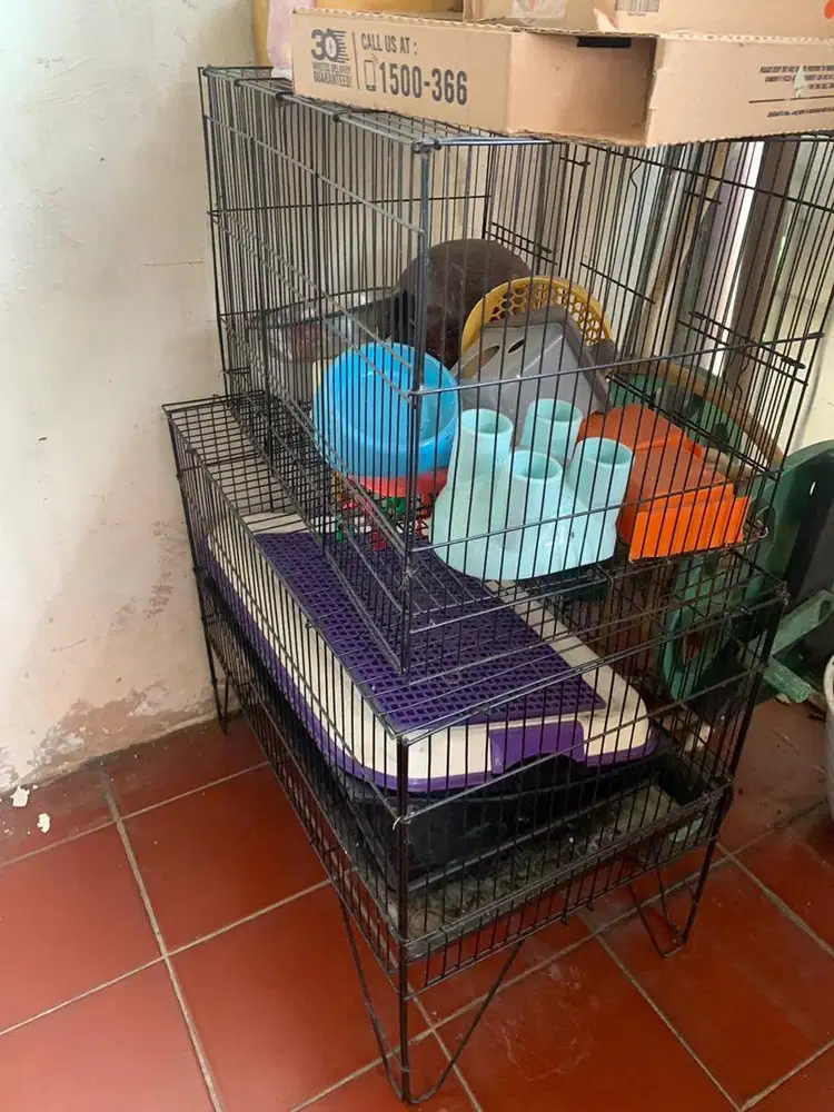 Kandang binatang kucing burung