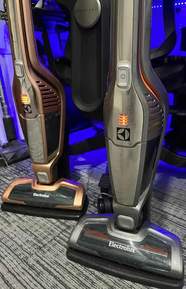 Vacuum cordless electrolux495000