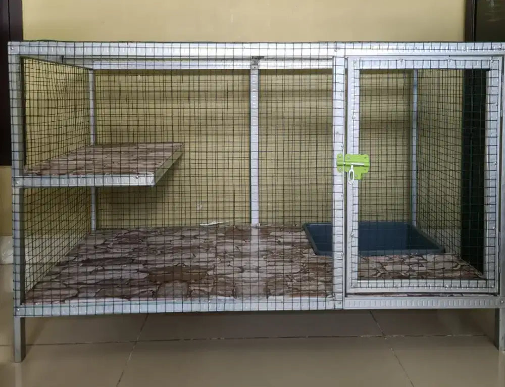 Kandang kucing dewasa