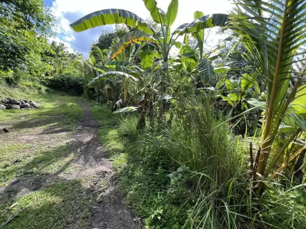 DIJUAL TANAH STRATEGIS COCOK UNTUK VILLA & SARANA PARIWISATA