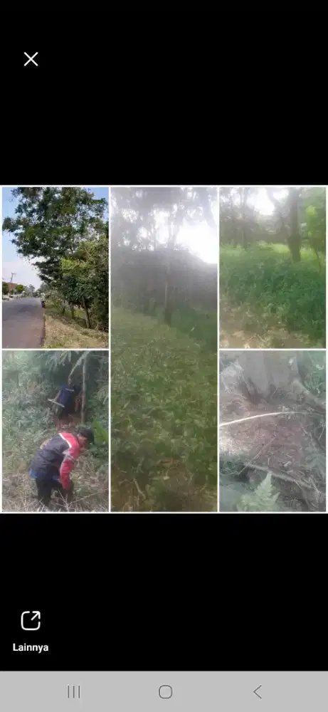 DIJUAL TANAH KEBUN PRODUKTIF (BU)