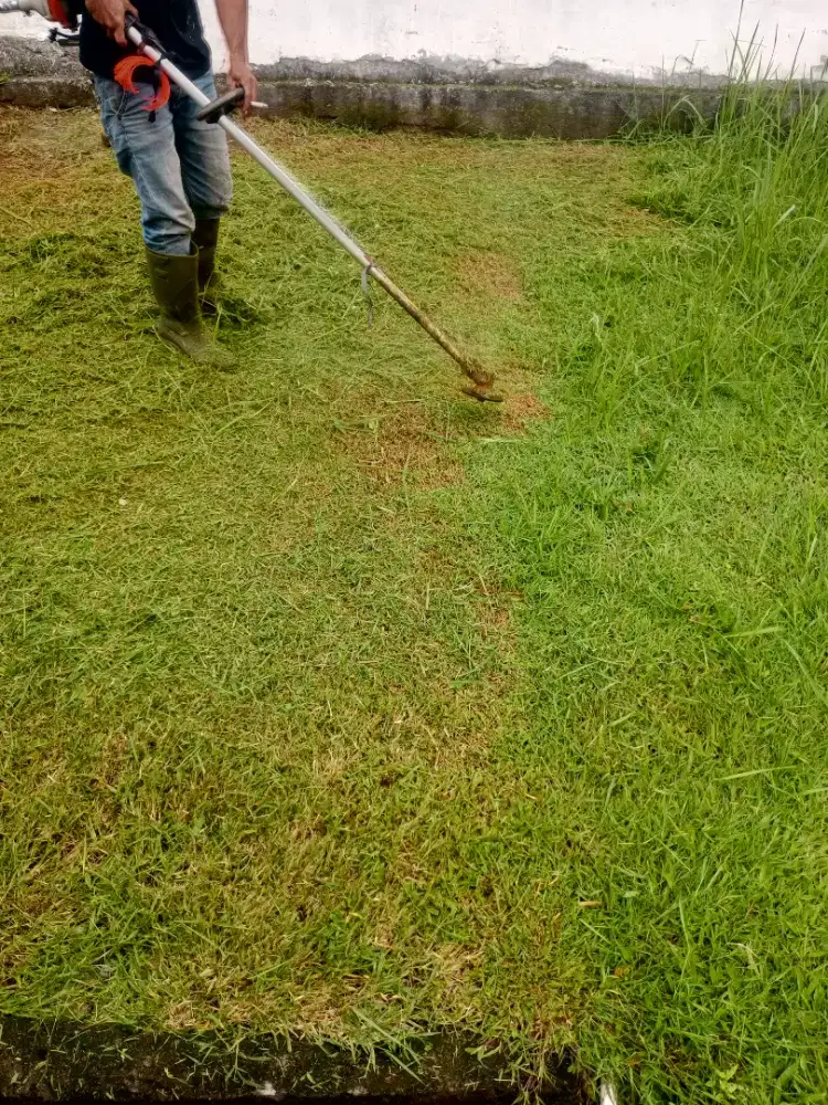 Potong rumput halaman taman