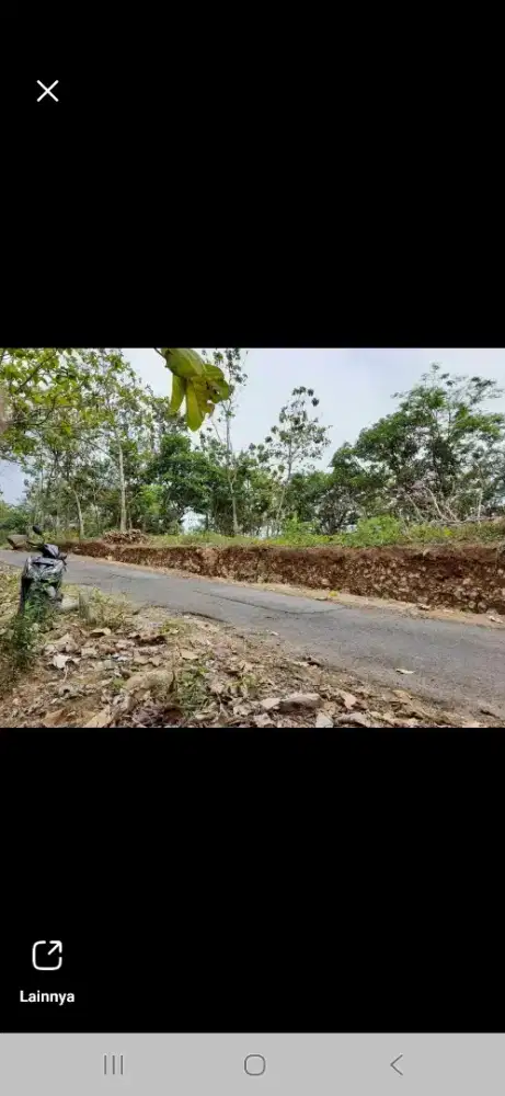 DIJUAL TANAH KEBUN PRODUKTIF (BU)