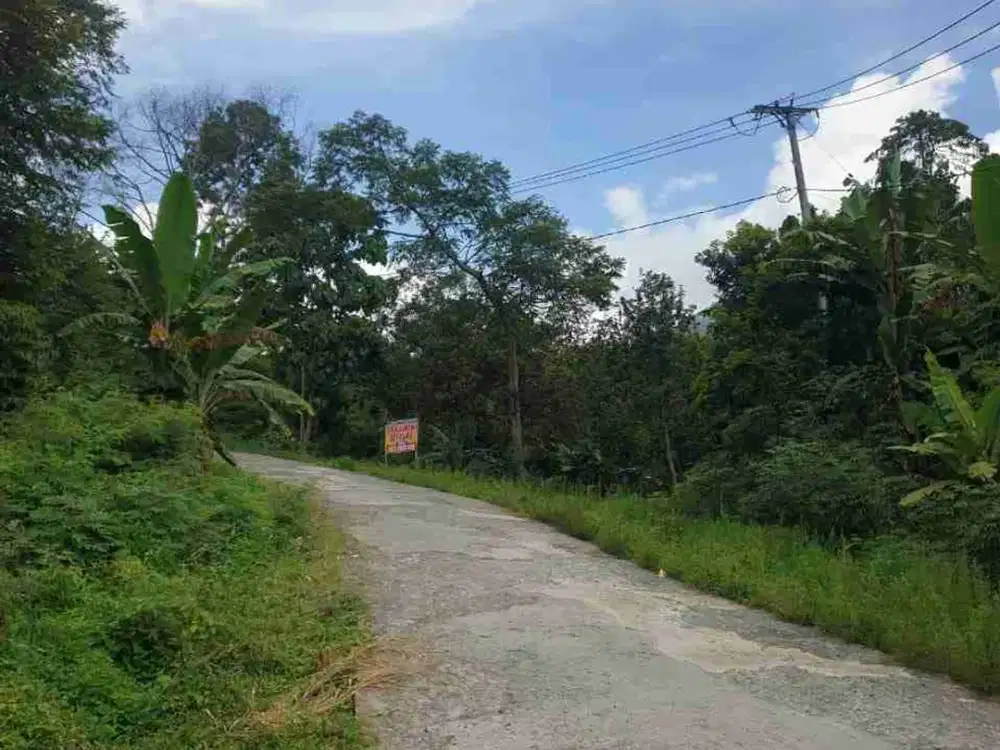 TANAH MURAH HANYA 300 METER DARI WISATA AIR PANAS DESA WAY WANGI SEMINUNG, WARKUK RANAU SELATAN