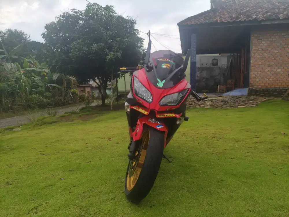 Kawasaki ninja 250 fl