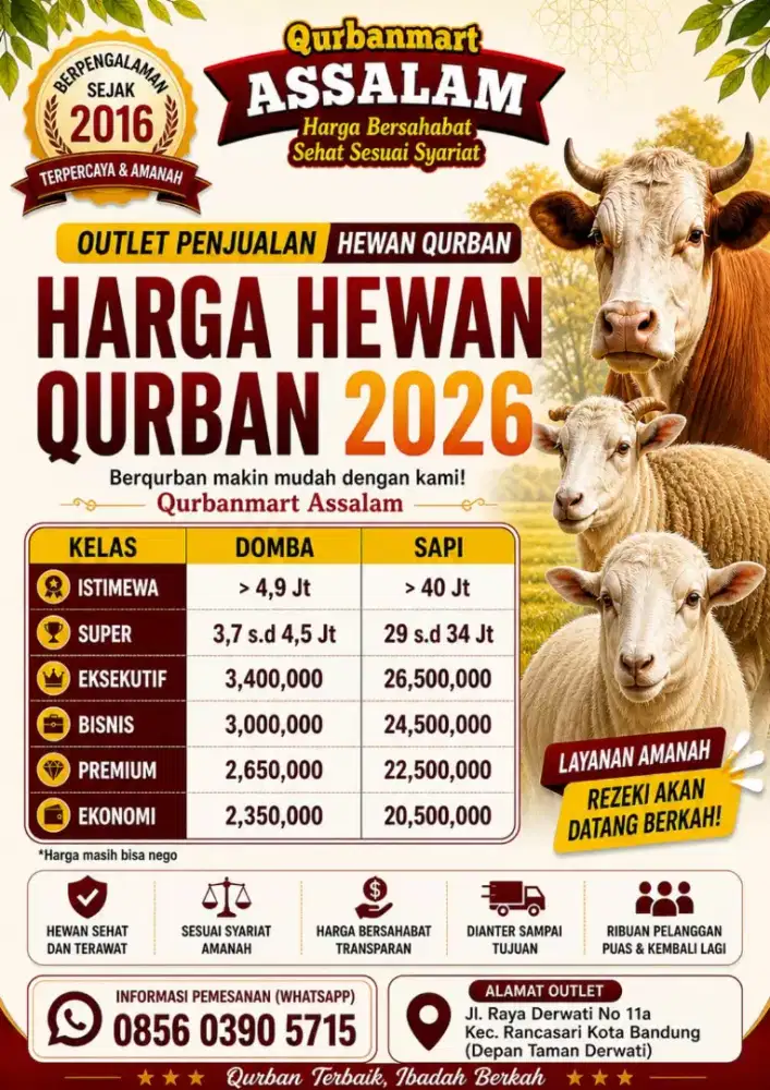 Domba qurban murah sesuai syariat