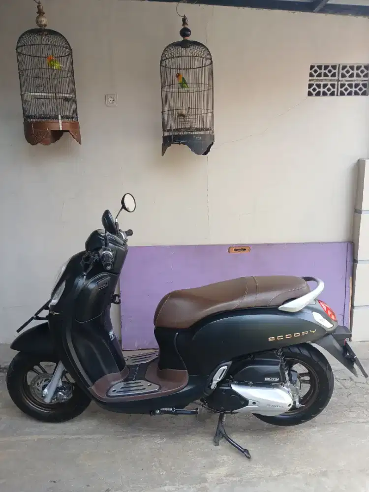 Scoopy prestige 2024 hitam