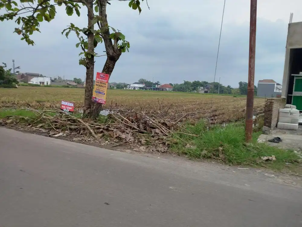 Dijual Tanah Sawah Pinggir Jalan Kartosuro Muraahh