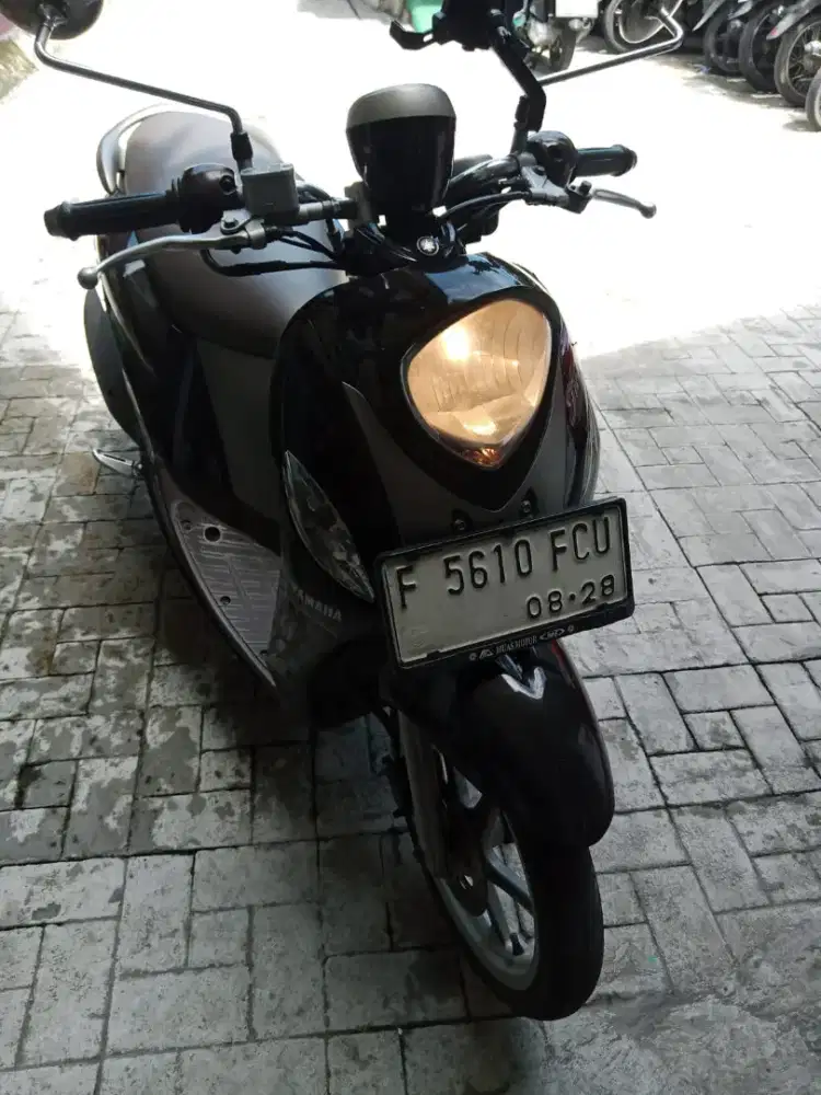 Antik mulus, Fino premium 2018 gress pajak hidup