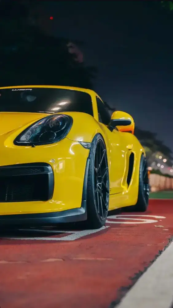 Porsche Cayman 981 GT4 2013