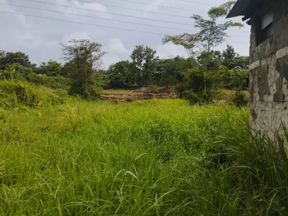 TANAH MURAH CIAMPEA CIBUNTU 1000 m