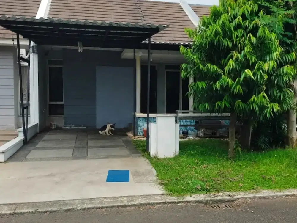 Dijual Rumah 1 Lantai Cluster Indira Suvarna Sutera 780 Juta Nego