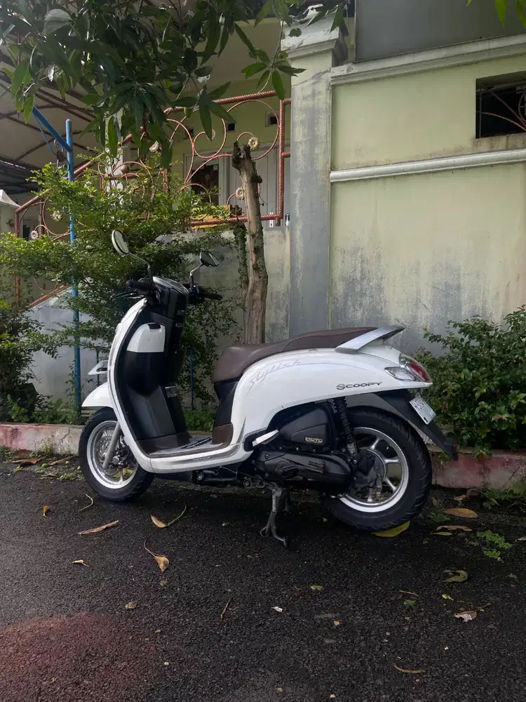 Honda scoopy 2019