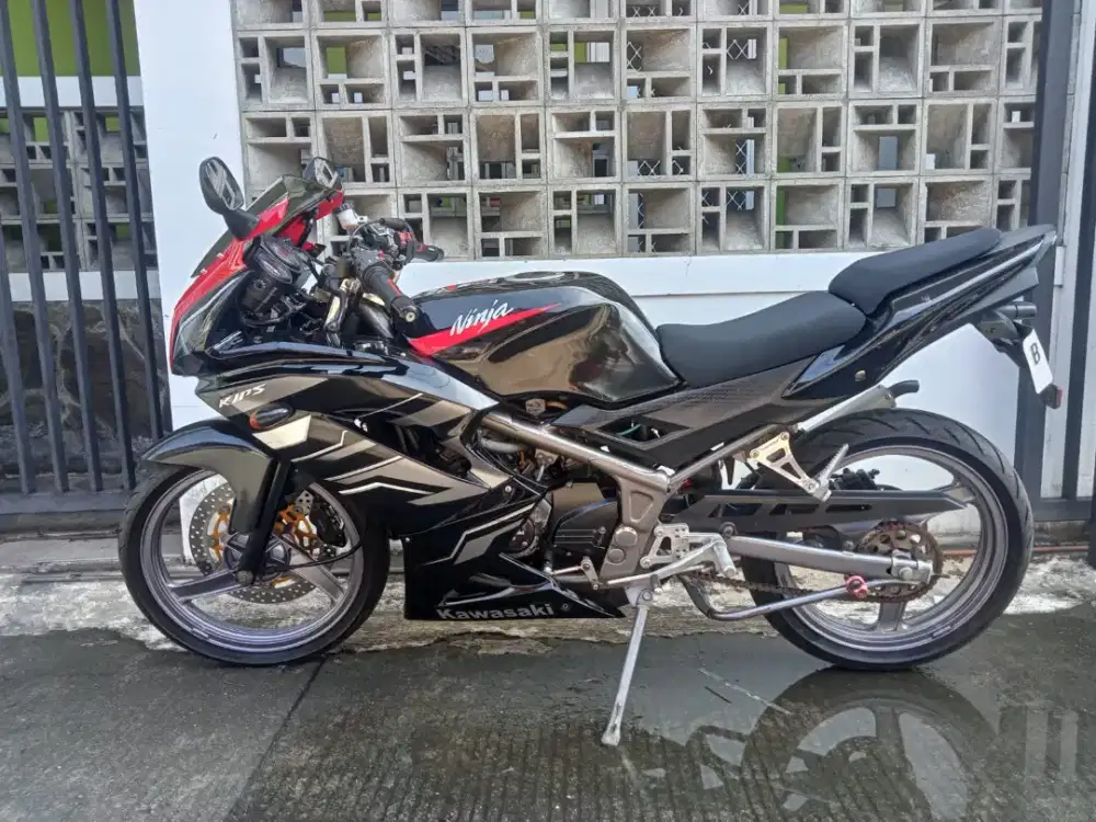 Motor Kawasaki Ninja RR tahun 2013