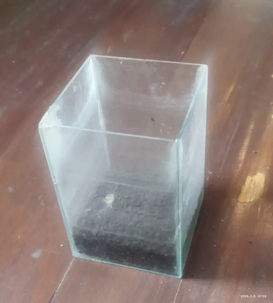 aquarium kecil bekas gecko
