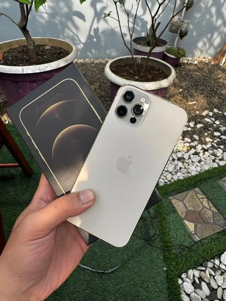 Iphone 12 Pro 128gb Resmi Beacukai