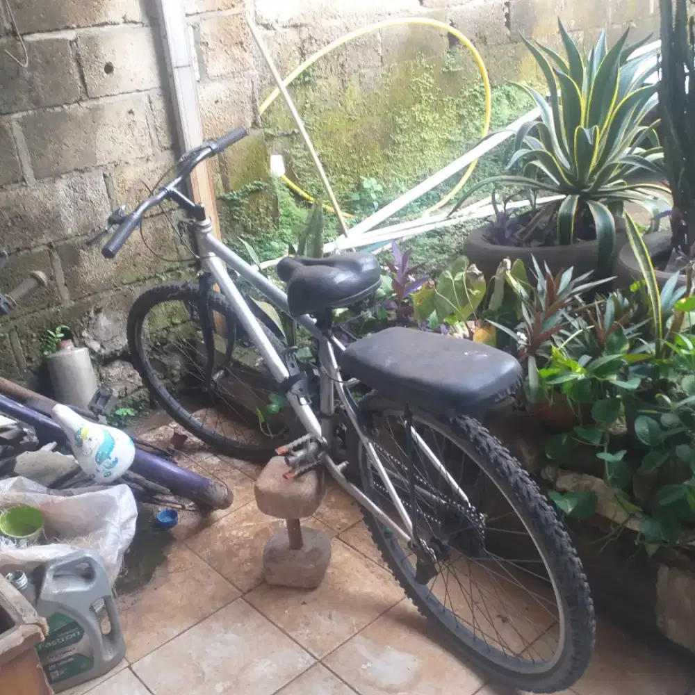 Sepeda 24 dan 16