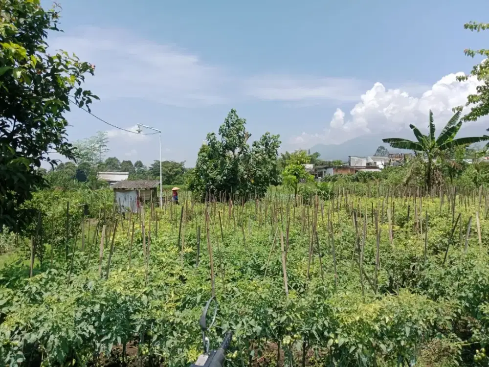 Dijual Tanah Strategis Dekat Wisata Jatimpark 3