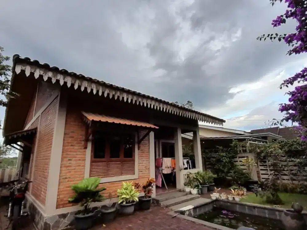 Dijual Rumah 1 Lantai Lingkungan Nyaman dan Asri Jalan Veteran Ciawi Bogor