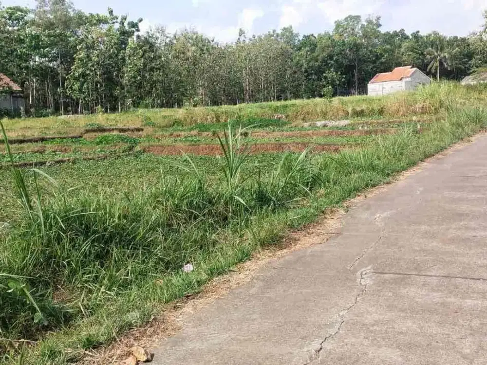 Dijual Tanah Pekarangan Luas kosong di Dusun Ngepek Sedayu Bantul