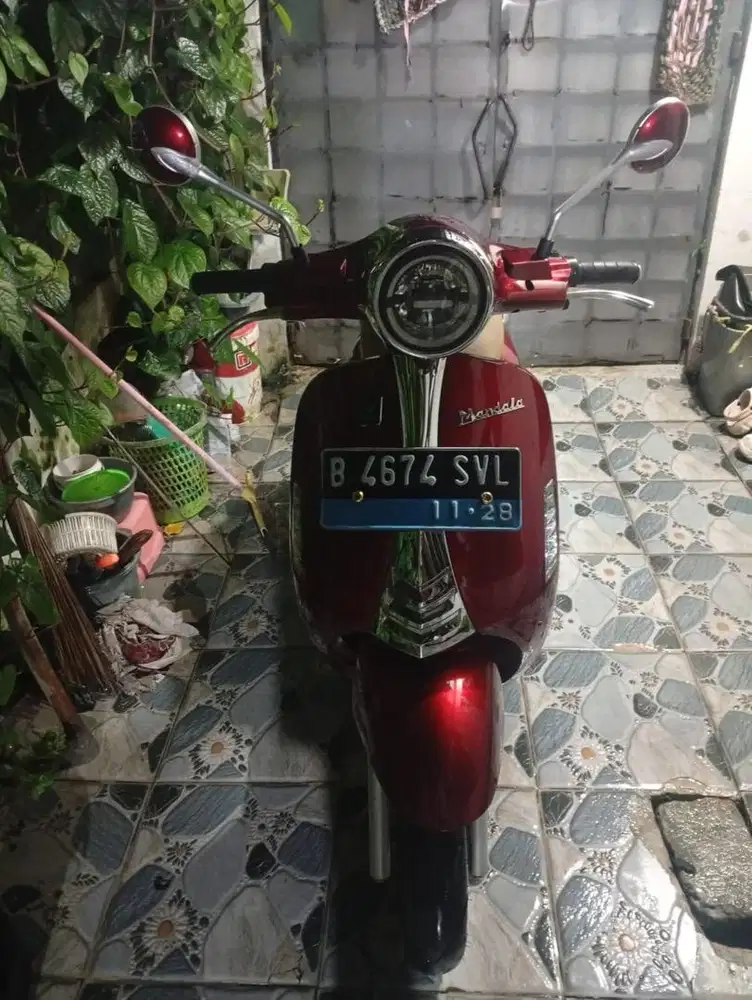 MOLIS MANDALA VOLTA