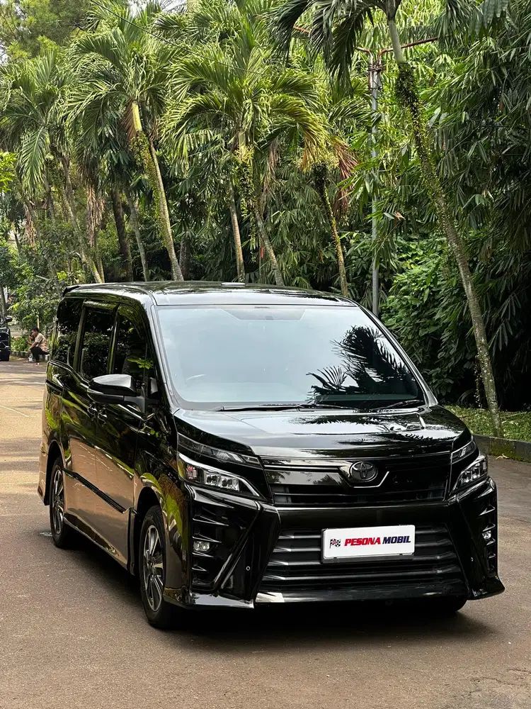 TDP5jt. Voxy 2.0 2017 AT