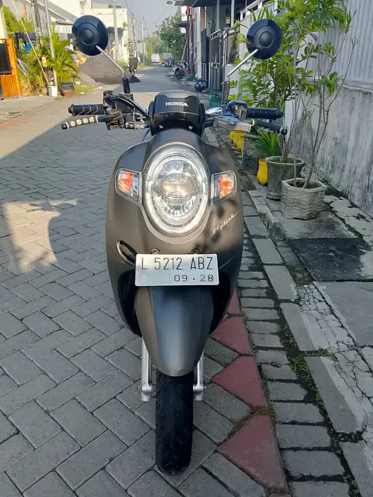 Scoopy 2019 Stylish