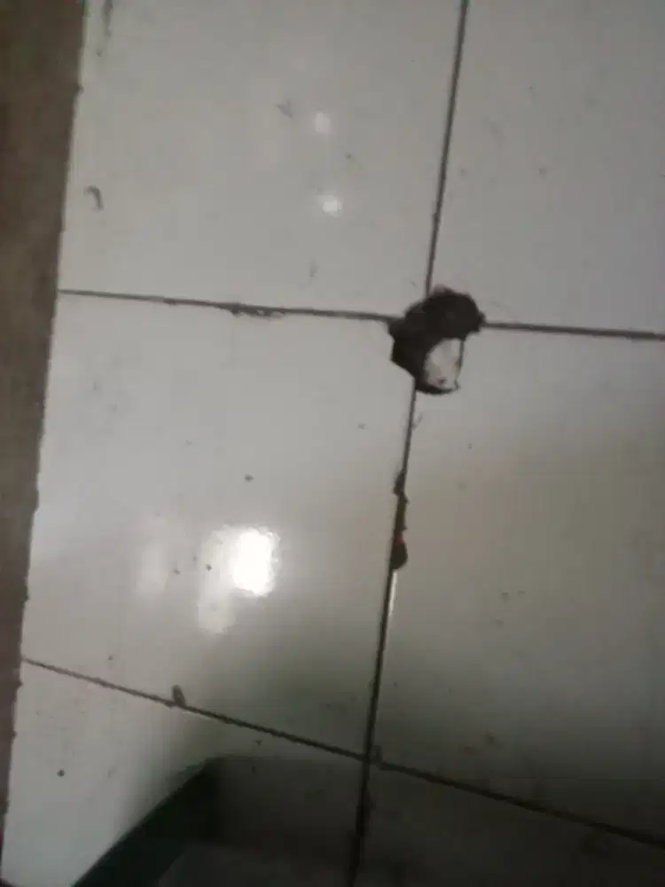 Mencari pekerjaan
