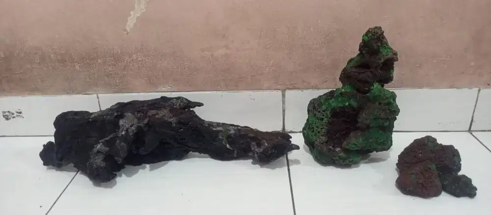 Kayu rentek batu lava rock