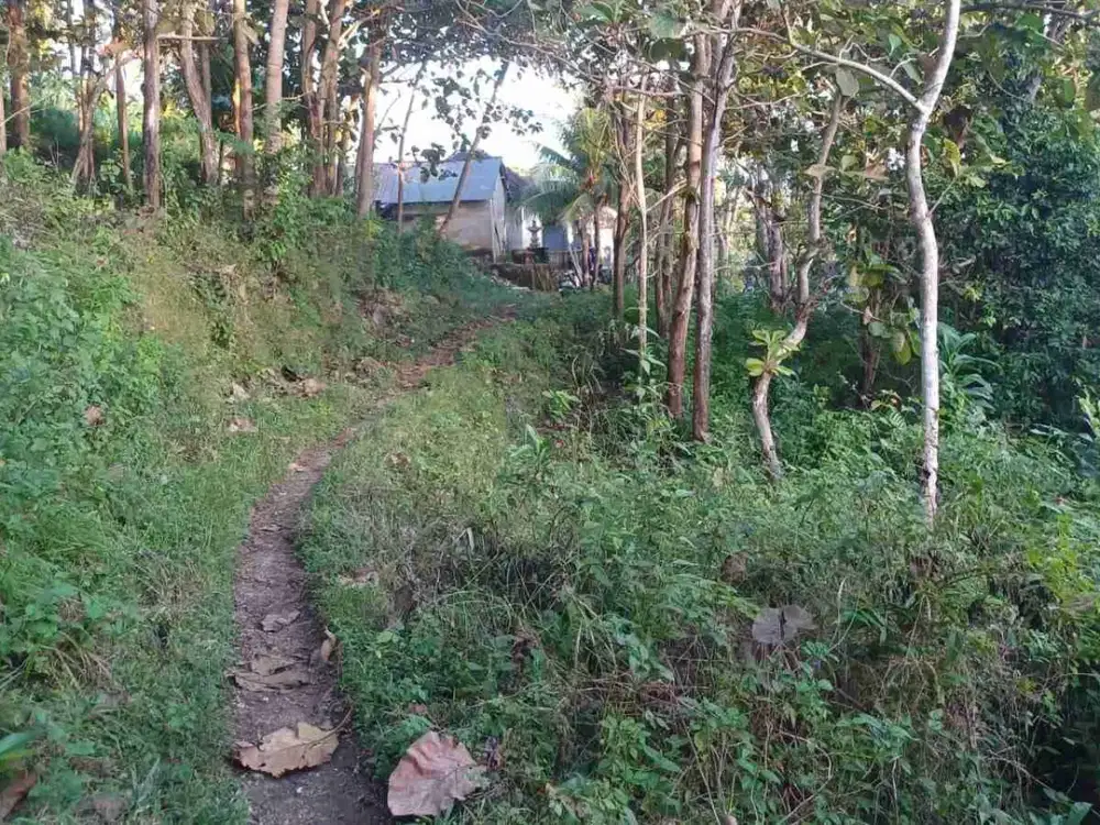 Dijual Cepat Murah Tanah Di Nusa Penida - Bali