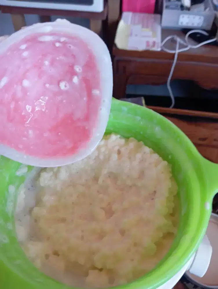 Kefir grains bibit
