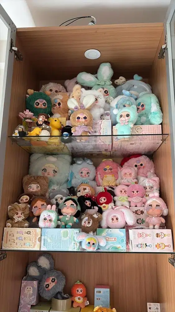 WTS BLINDBOX POPMART LABUBU CRYBABY DLL