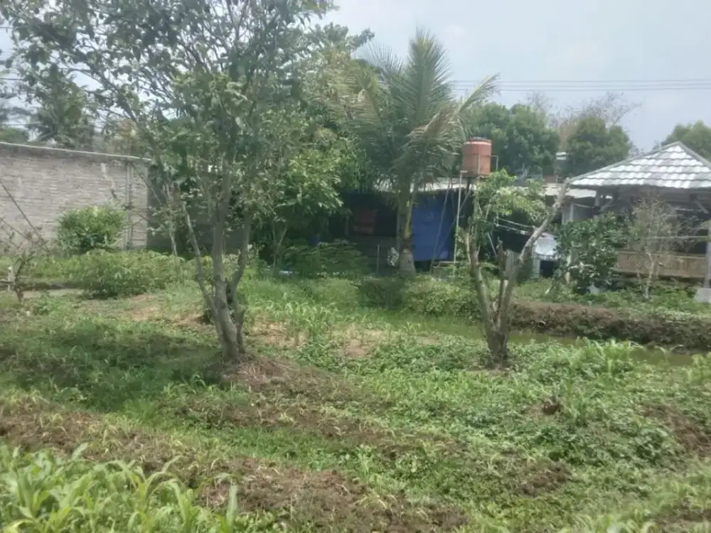 DIJUAL TANAH DEKAT DERMAGA BUNDER CIHAMPELAS CILILIN BANDUNG FULL BENTENG
