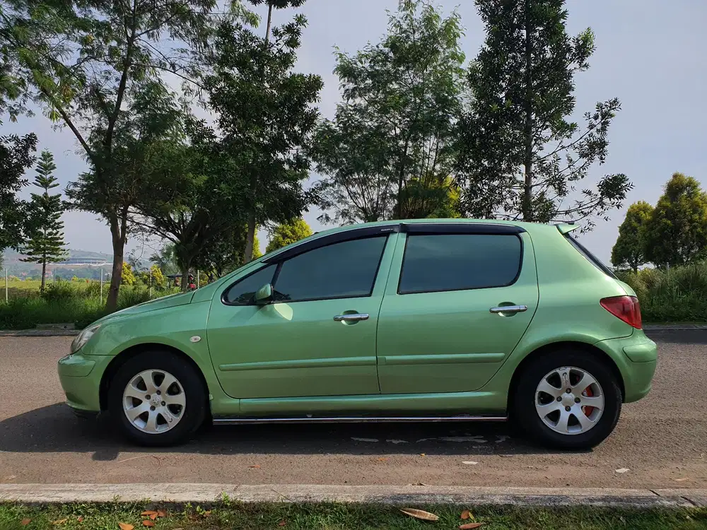 Peugeot 307 2002 Bensin