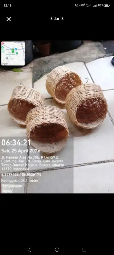 Glodok Rotan finch