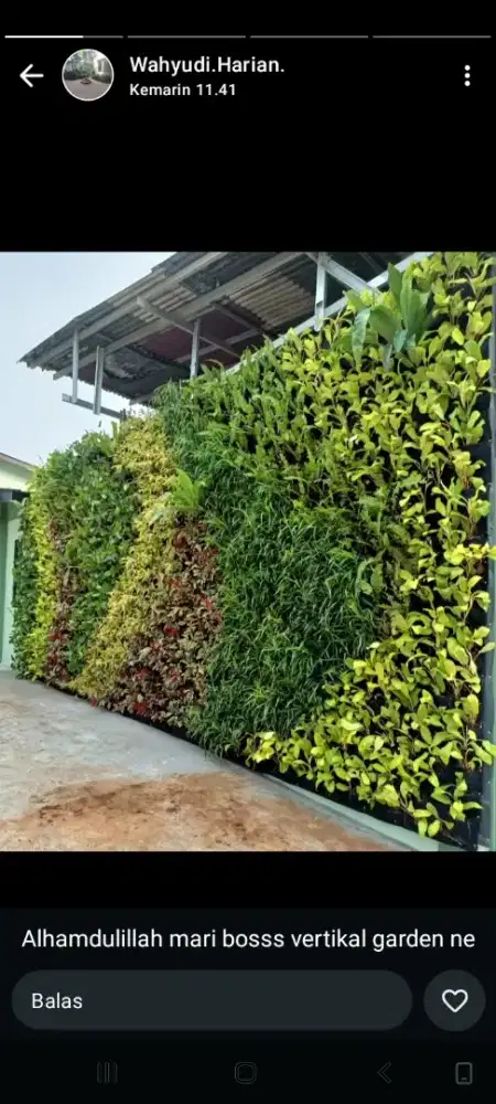 Menerima bikin garden, renovasi, perawatan potong rumput dll