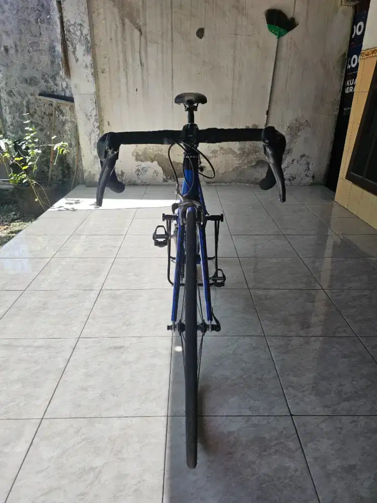 Polygon helioas 100 royal