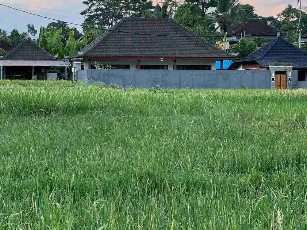 Lahan Premium View Sawah dan Jungle Area Tirta Tawar Ubud