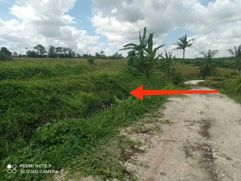 Dijual Tanah Hanya 250 meter saja ke Pantai di Jl. Raya Pasut, Kerambitan, Tabanan.