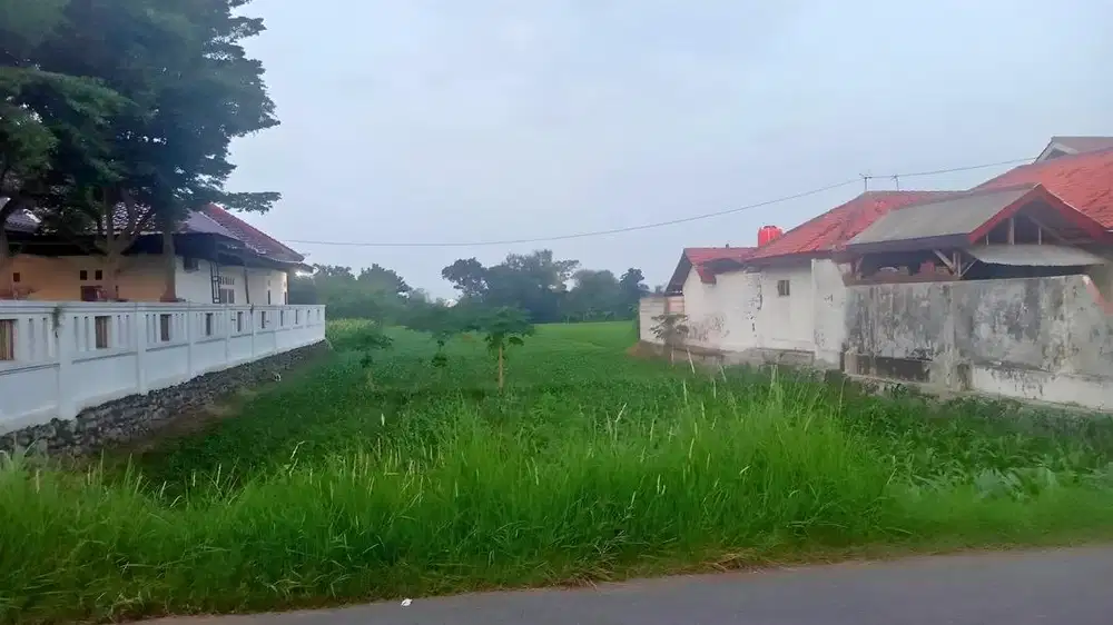 Jual Cepat Sawah Tanah Pribadi Luas 1.528m2 Tegal (Pinggir jalan)