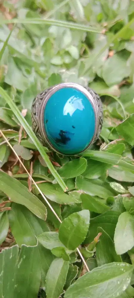 Jual Bacan doko ring perak