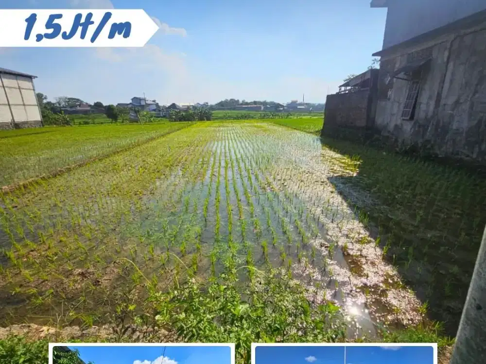 Dijual Tanah Sawah di Depan Kantor Kelurahan Sroyo , Jaten, Karanganyar