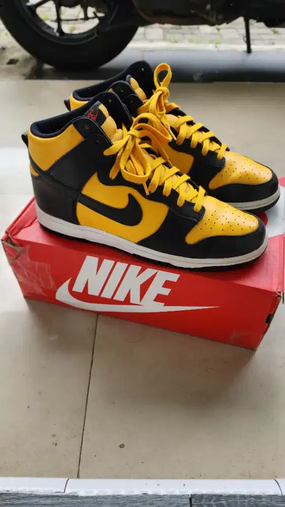 Nike Dunk Hi Bruce Lee Size 45