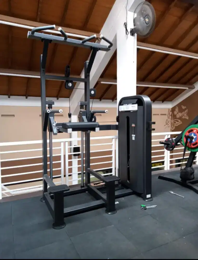 Dipp chin asssist komersial fitness import