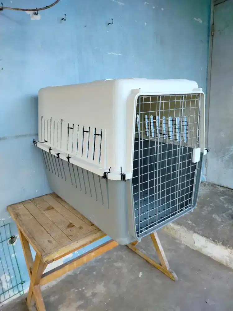 PET CARGO OCTAGON P5